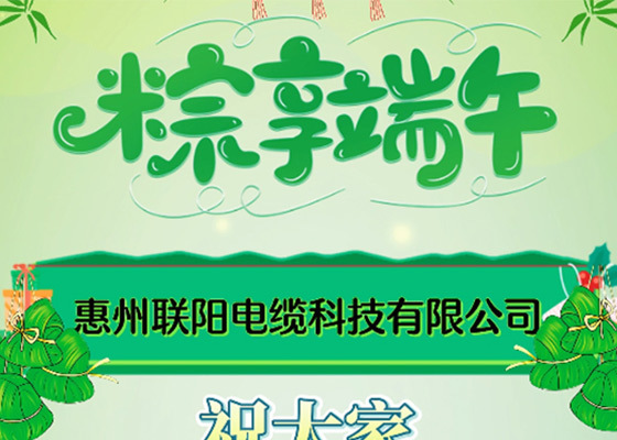 粽享端午