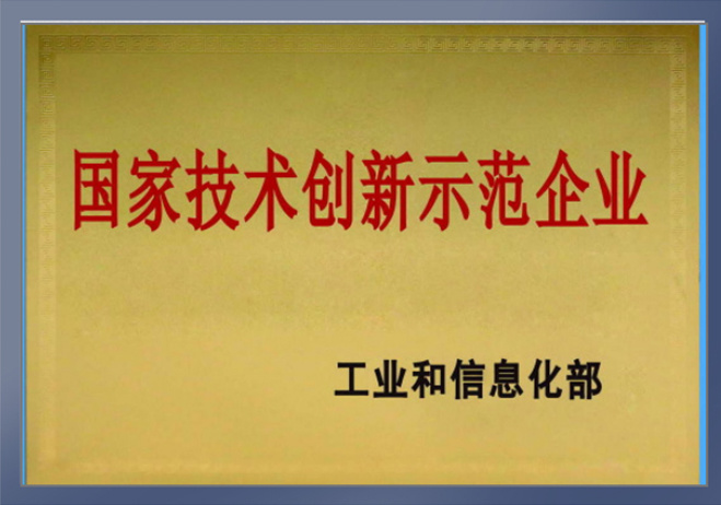国家技术创新示范企业