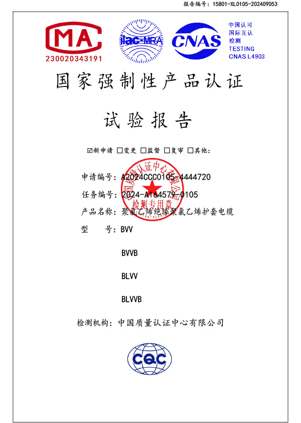 BVV检测报告