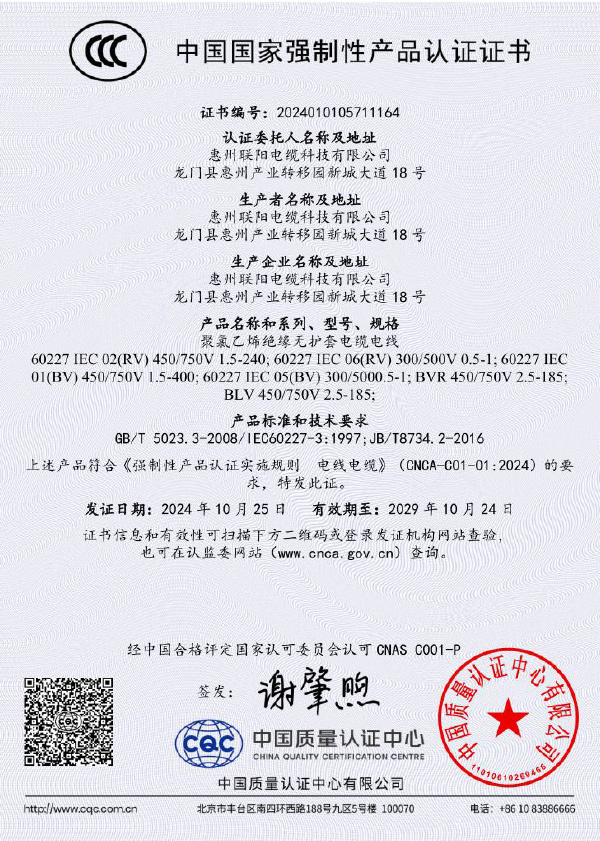 BV证书（中文）