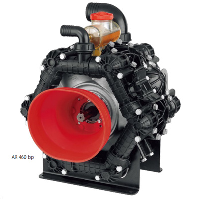 AR 460 bp