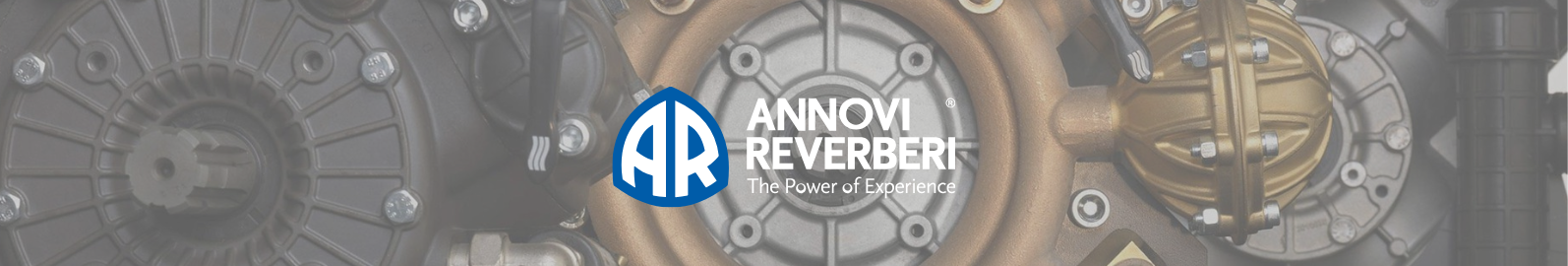 ANNOVI REVERBERI