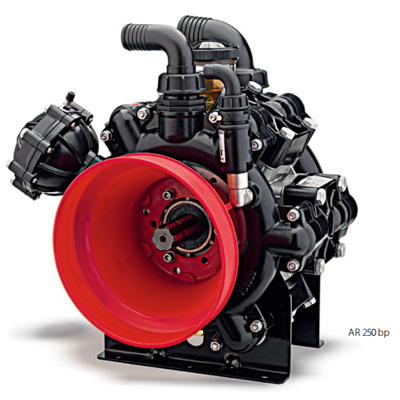 AR 250 bp