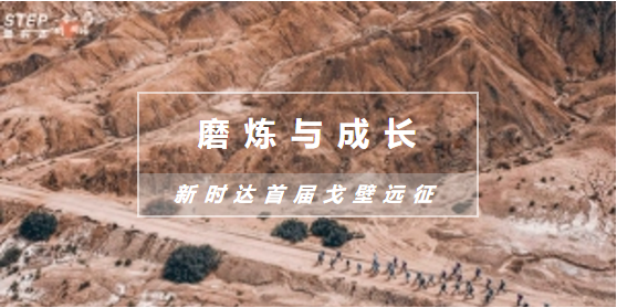 玄武版金牛版47419走势图