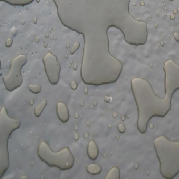Polymer waterproof mortar