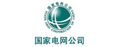 国家电网公司