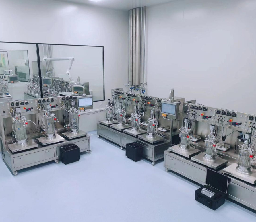 Magnetic stirring glass fermentation tanks