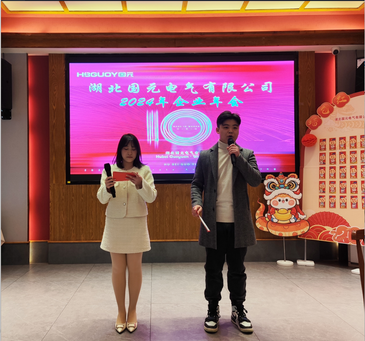 湖北国元电气有限公司  |  2024年度盛典暨十周年庆典