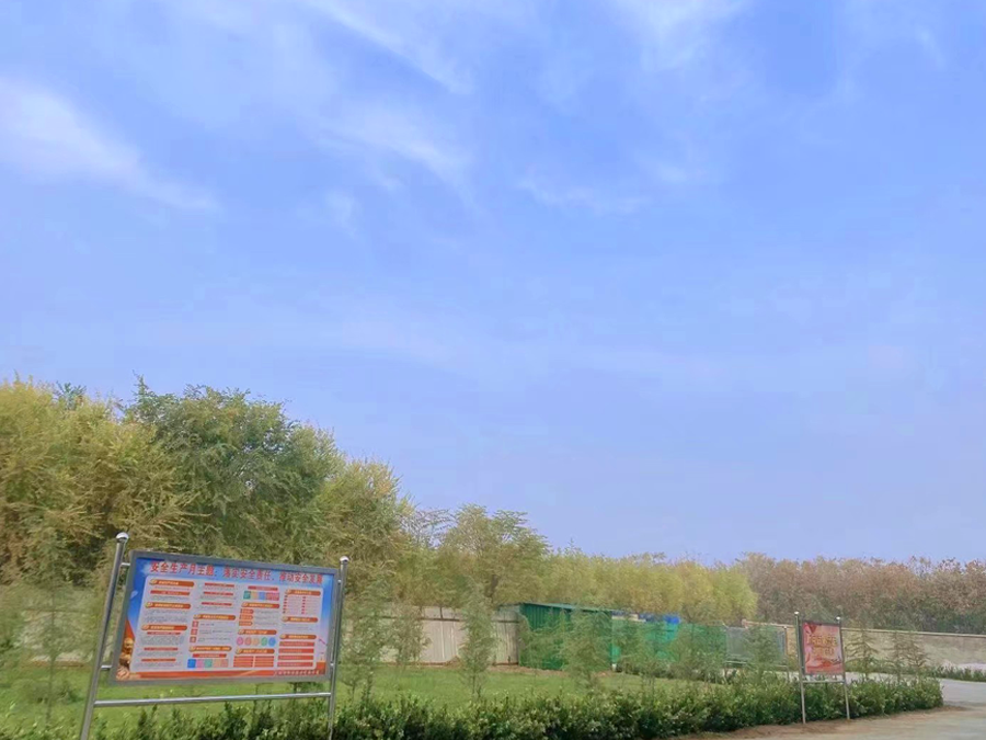 厂房厂貌
