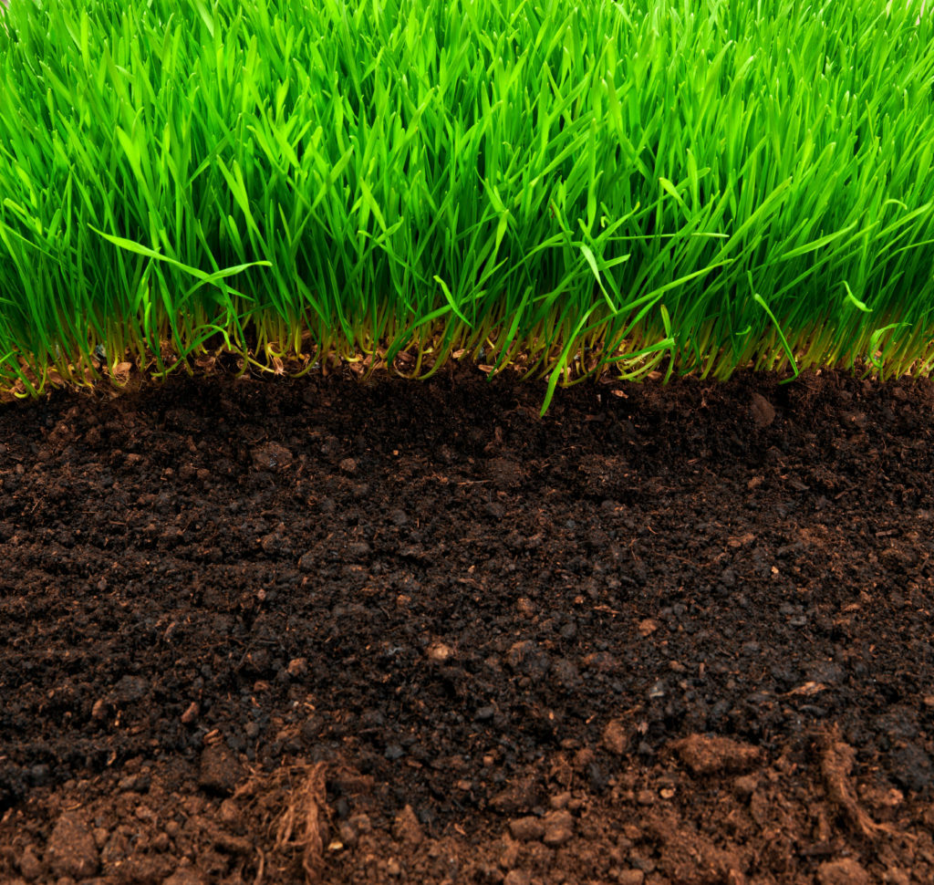 Green agriculture innovation is accelerating, with significant progress made in the development of biological organic fertilizers.