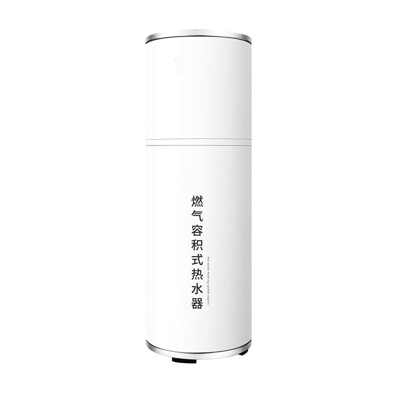 燃?xì)忮仩t系列