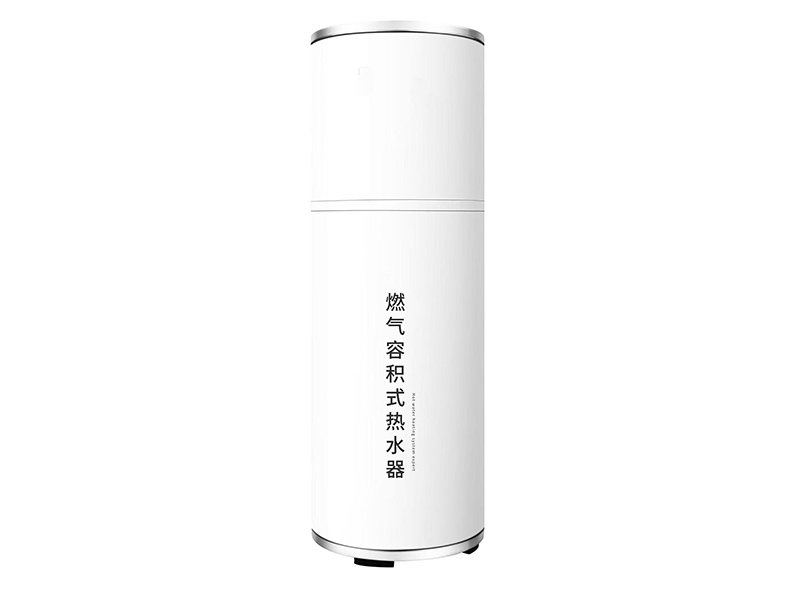 燃?xì)忮仩t系列