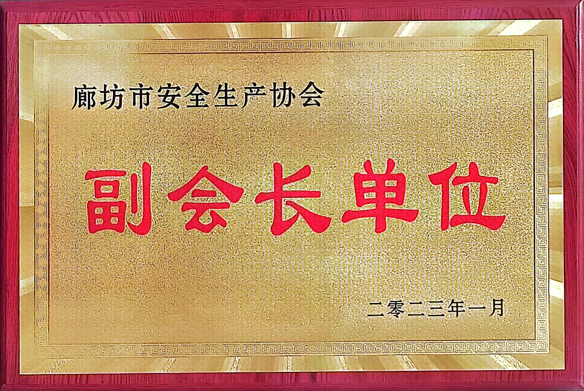 廊坊市安全生產(chǎn)協(xié)會(huì)副會(huì)長(zhǎng)單位