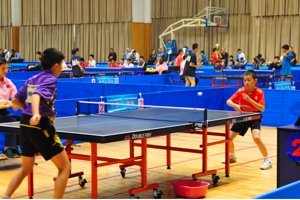 善跑體育PVC運動地板，PVC運動地板讓你愛上運動