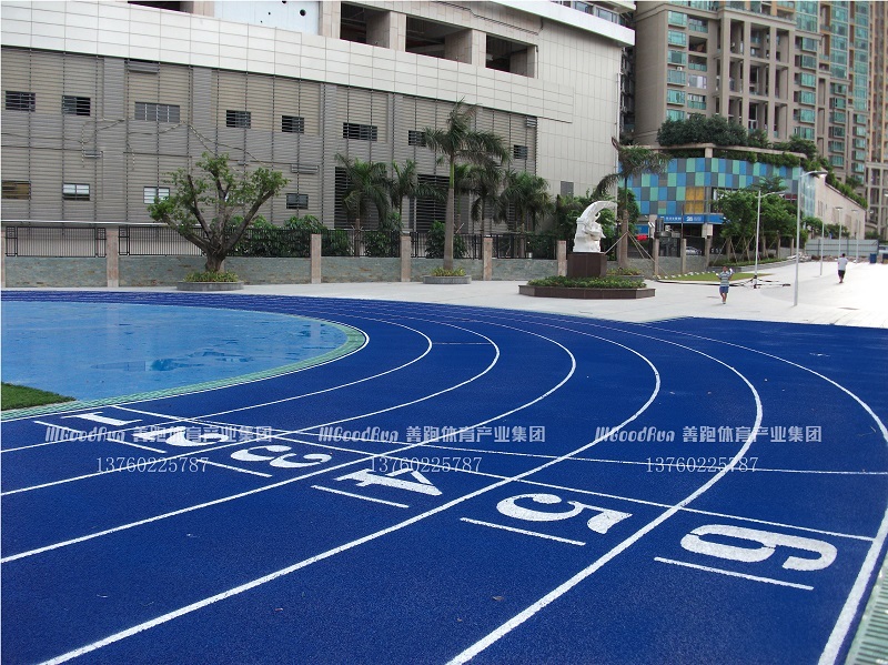 彩色塑膠跑道多少錢一平米？