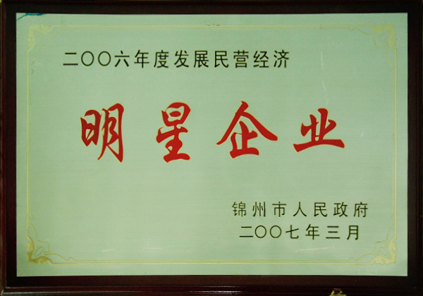 2006 Star Enterprises in the Development of the Private Economy 2006 Star Enterprises in the Development of the Private Economy