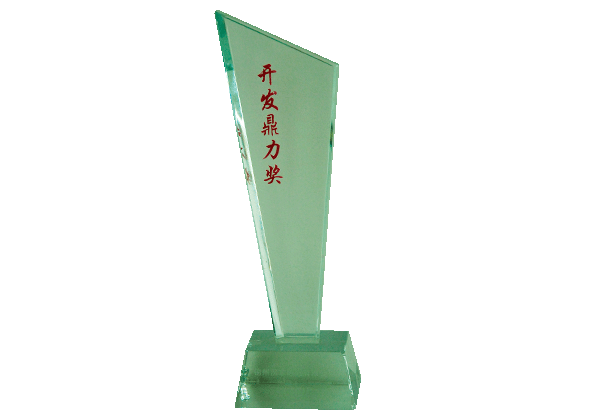 Development Diligence Award Development Diligence Award