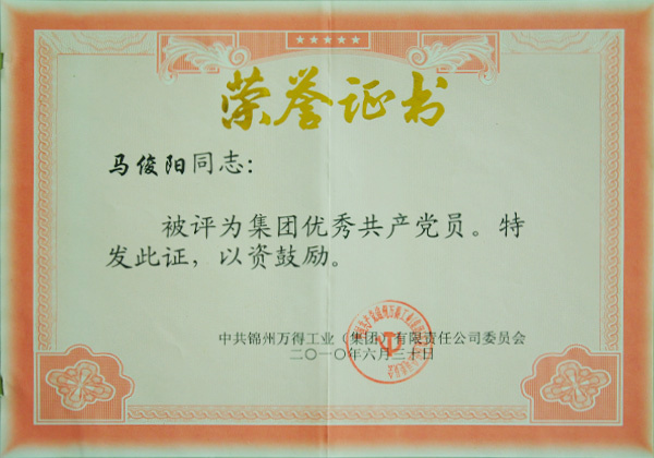 Outstanding Communist Party Member of the Group Outstanding Communist Party Member of the Group