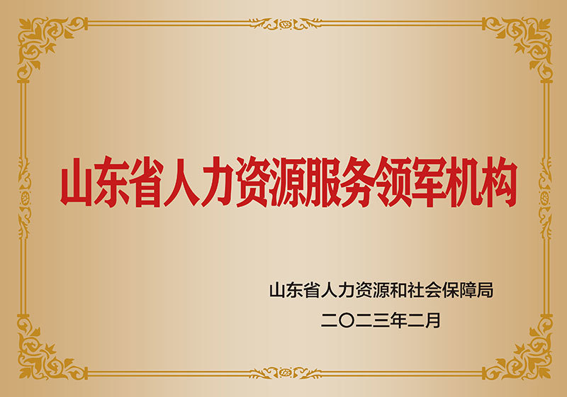 山东省人力资源服务领军机构 山东省人力资源服务领军机构