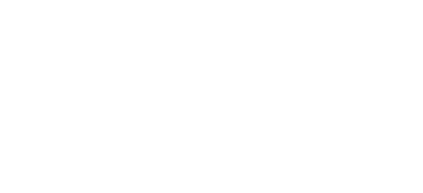 兴洲电缆 兴洲电缆