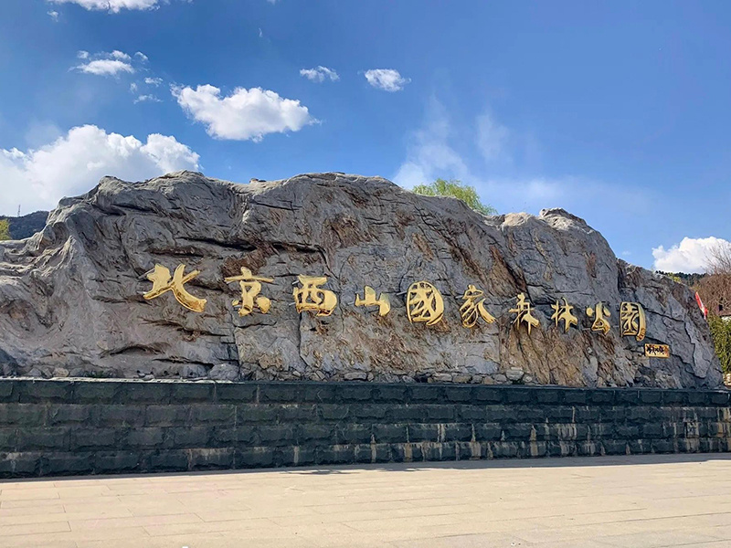 西山森林