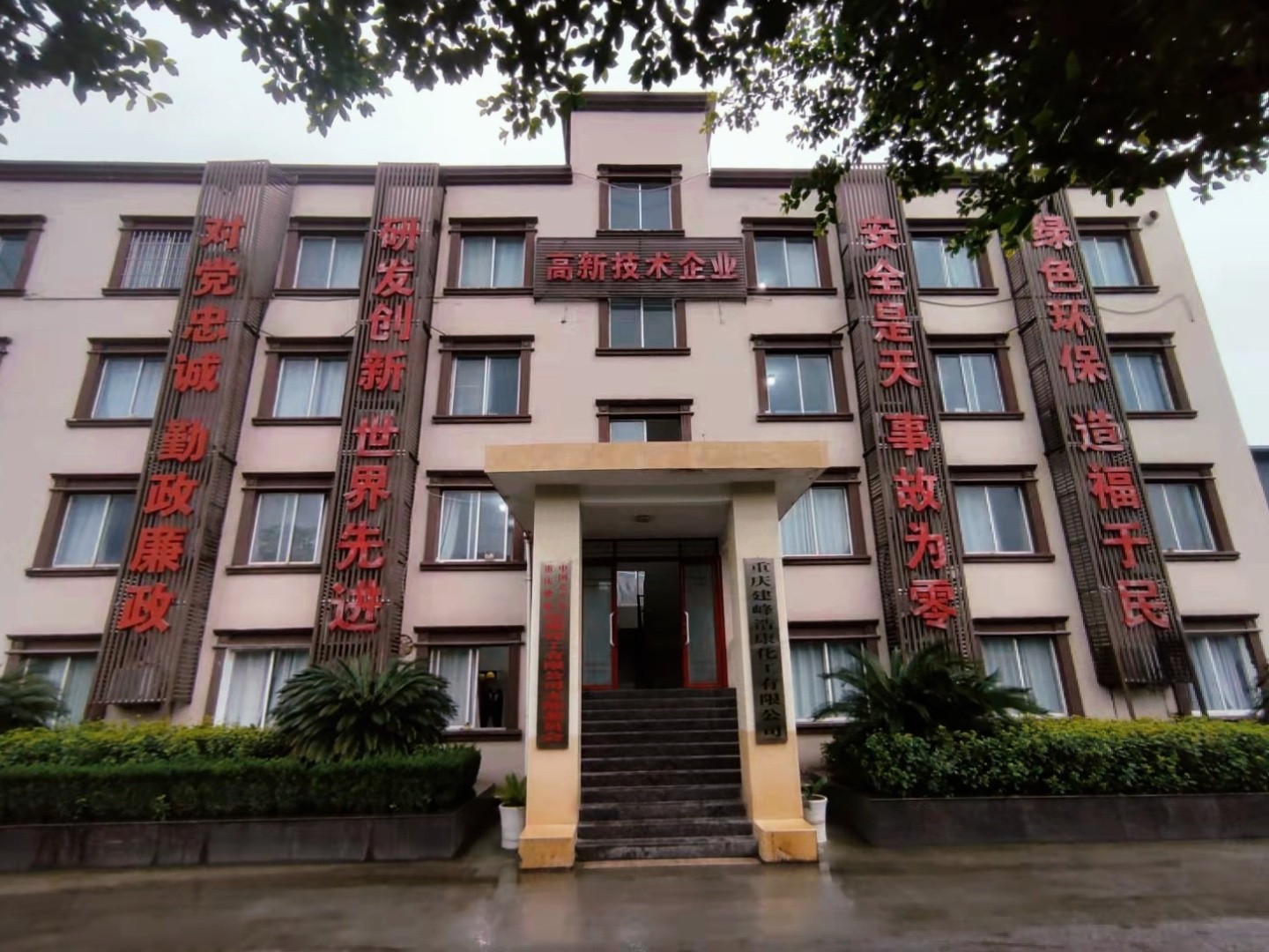 公司信息