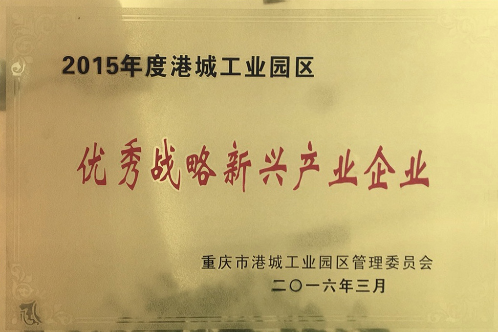 優(yōu)秀戰(zhàn)略新興產(chǎn)業(yè)企業(yè)
