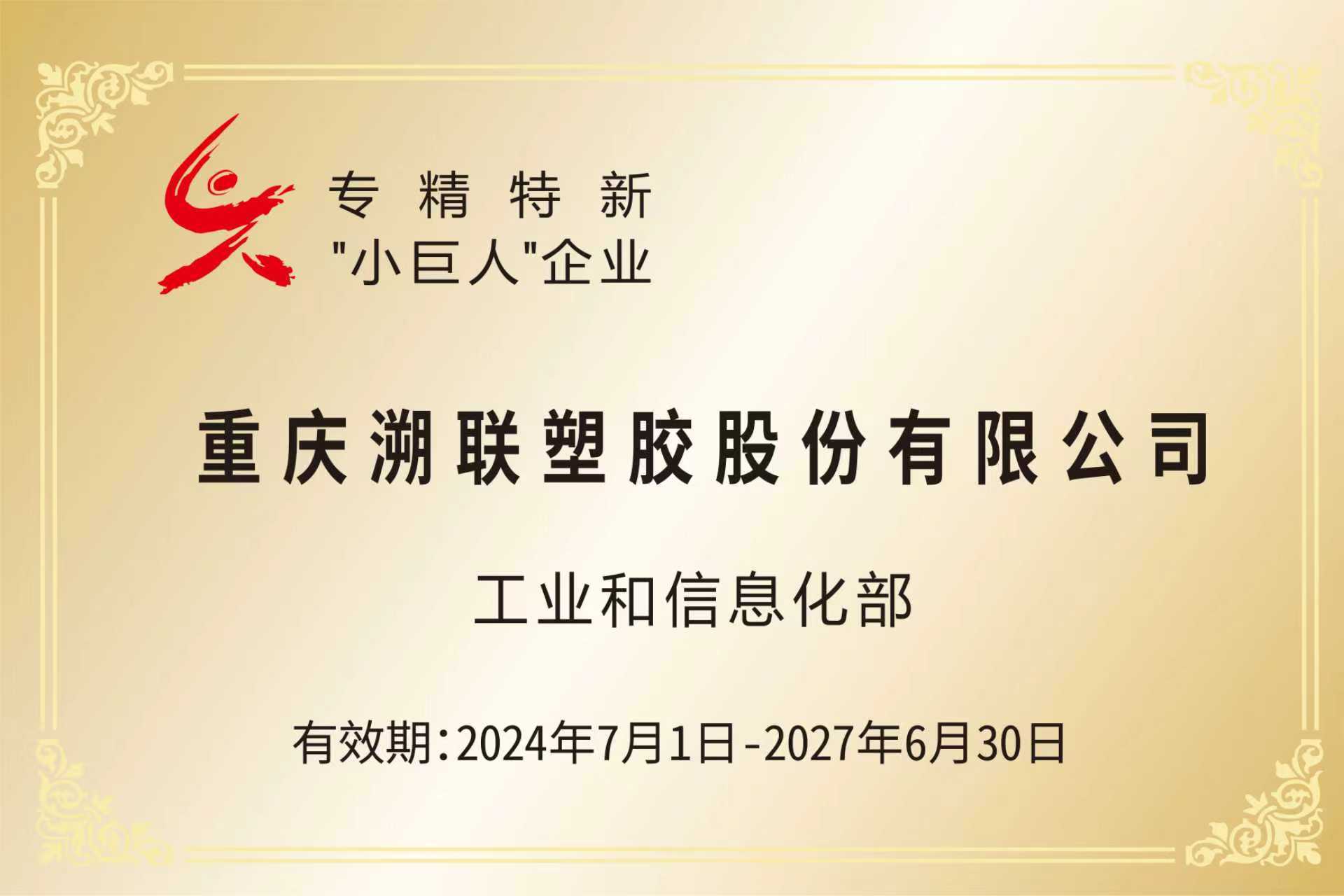 專精特新“小巨人”