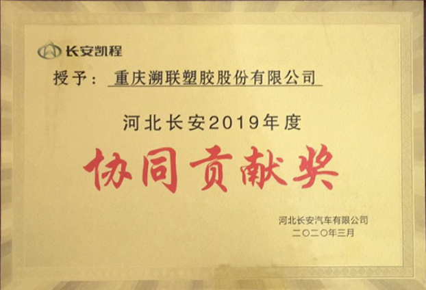協(xié)同貢獻(xiàn)獎