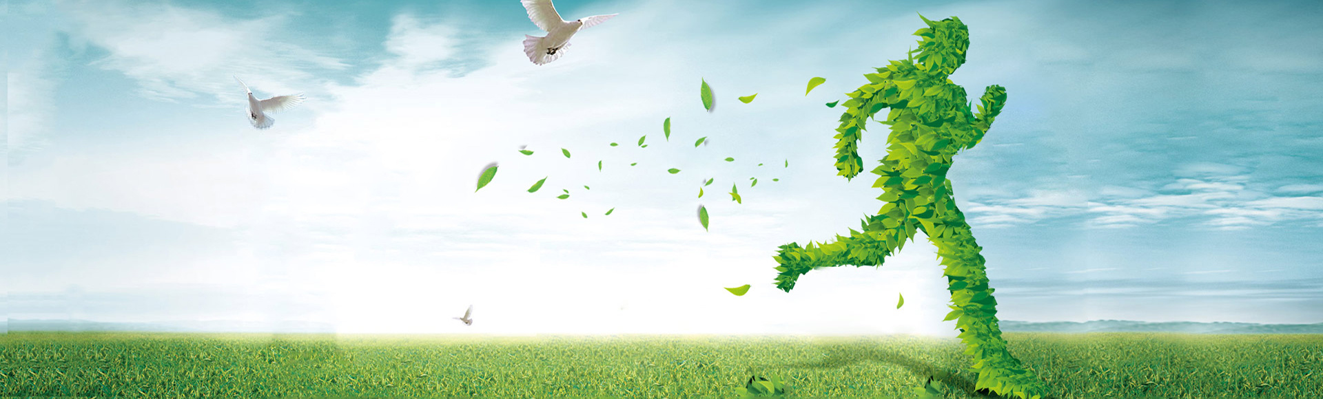 Our Services Our Services