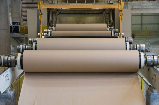 Hunan Linyuan Paper Co., Ltd