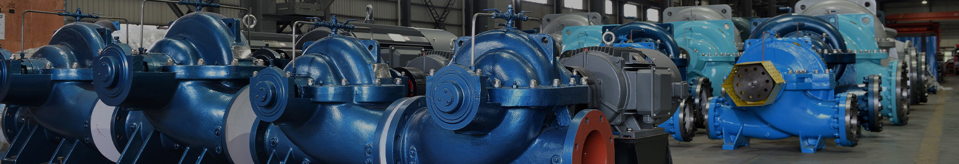 Our Pumps