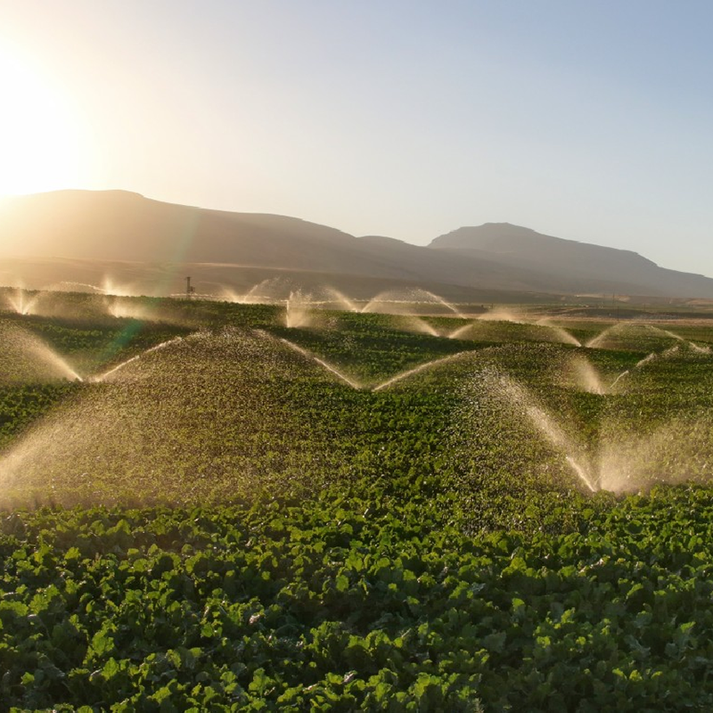 Agriculture
