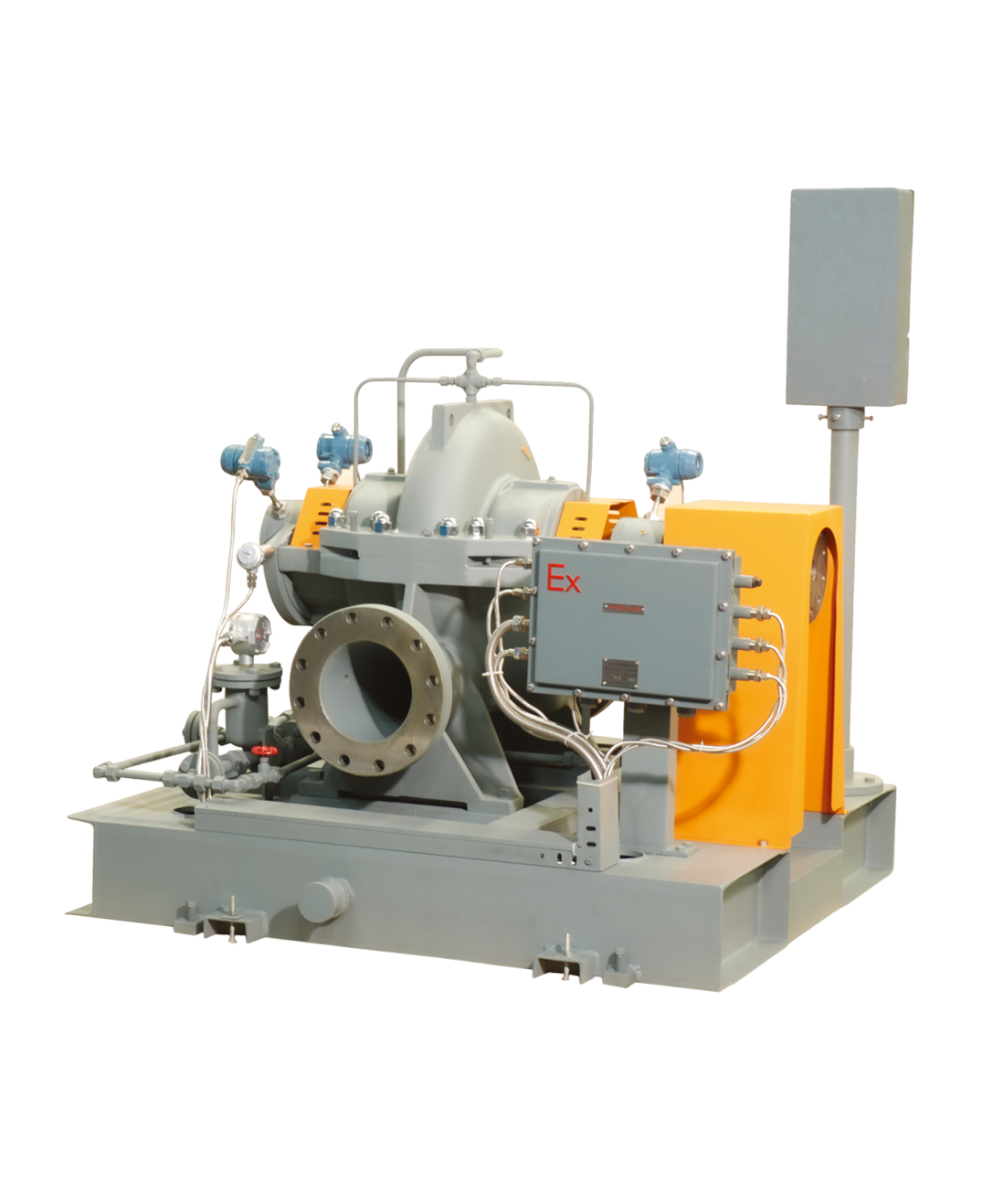 APS Petrochemical Pump