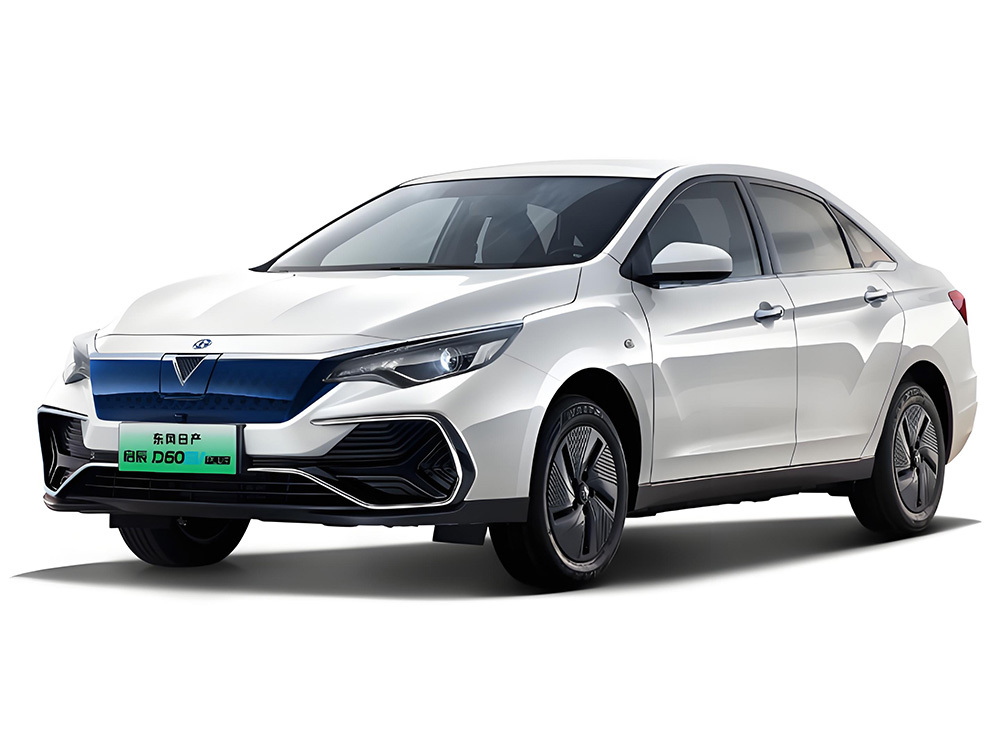 VENUCIA D60 EV PLUS