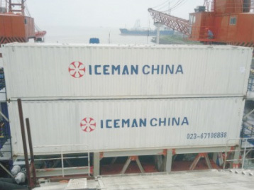 Containerized flake ice machine