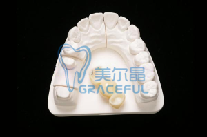 全瓷系列