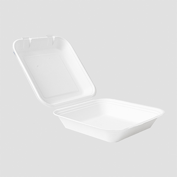 8" x 8" clamshell