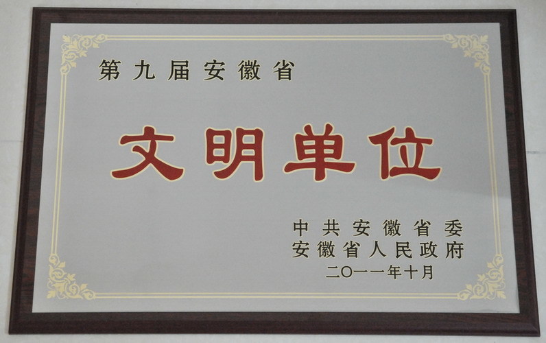 2011 第九届安徽省文明单位