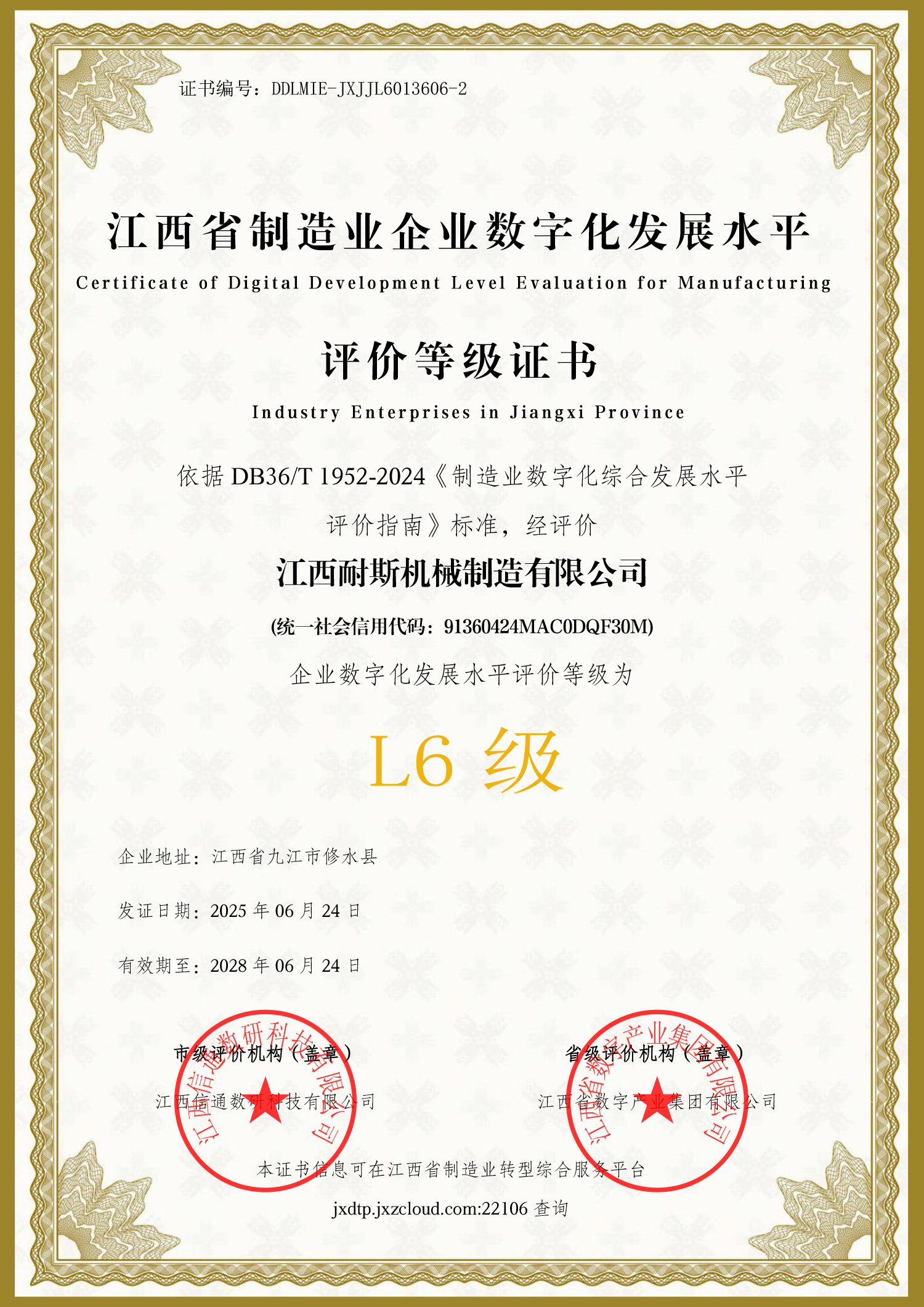 Digital Transformation Certificate, Level 6