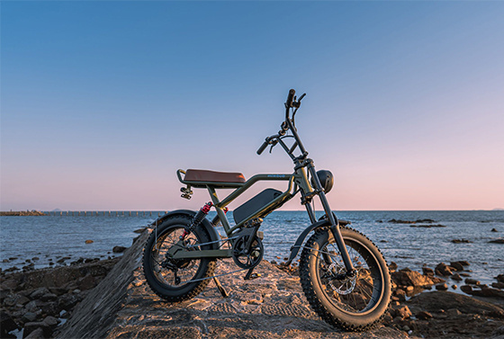 Why ride Electric Bikes