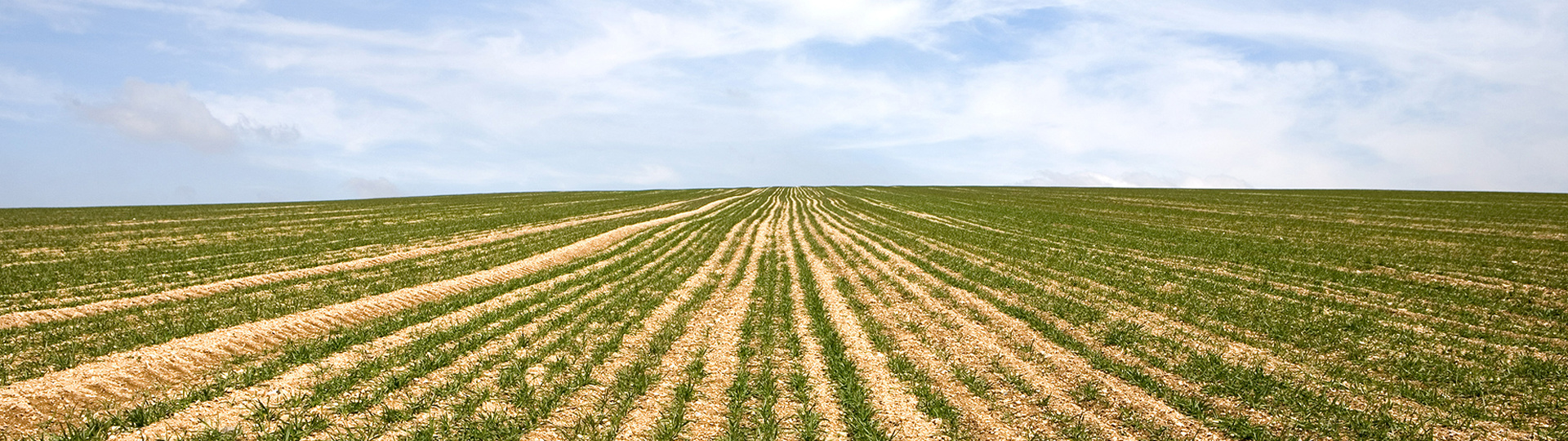 Tianbaofeng Agricultural Technology