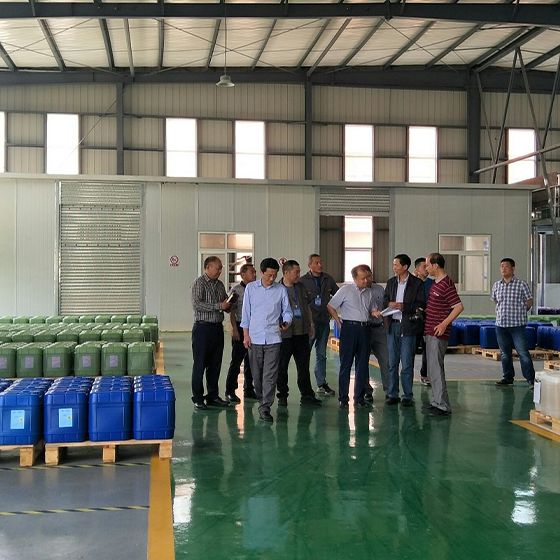 Mayor Xu and a delegation from the municipal government visited our factory for a survey. Mayor Xu and a delegation from the municipal government visited our factory for a survey.