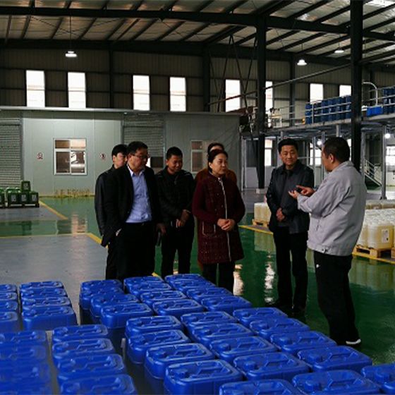 Director Gou and his colleagues from the Municipal People's Congress conducted a field research at our factory. Director Gou and his colleagues from the Municipal People's Congress conducted a field research at our factory.