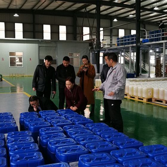 Director Gou and his colleagues from the Municipal People's Congress conducted a field research at our factory. Director Gou and his colleagues from the Municipal People's Congress conducted a field research at our factory.