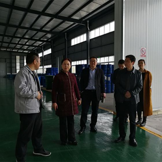 Director Gou and his colleagues from the Municipal People's Congress conducted a field research at our factory. Director Gou and his colleagues from the Municipal People's Congress conducted a field research at our factory.
