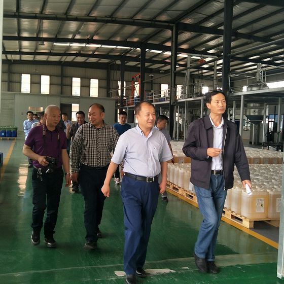 Mayor Xu and a delegation from the municipal government visited our factory for a survey. Mayor Xu and a delegation from the municipal government visited our factory for a survey.