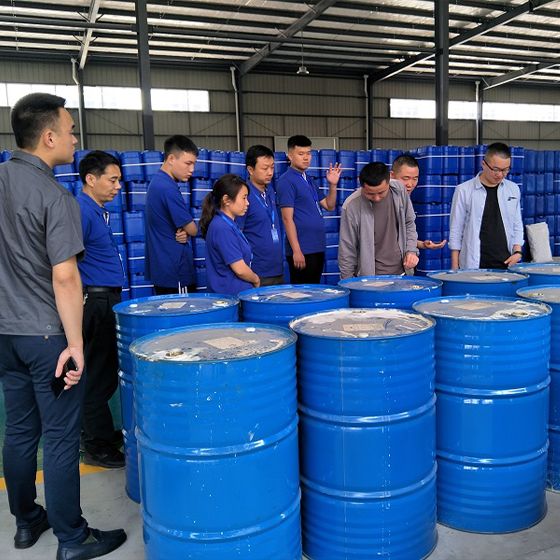Haelide company came to our factory for a field trip Haelide company came to our factory for a field trip