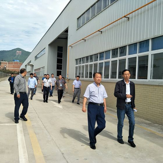 Mayor Xu and a delegation from the municipal government visited our factory for a survey. Mayor Xu and a delegation from the municipal government visited our factory for a survey.