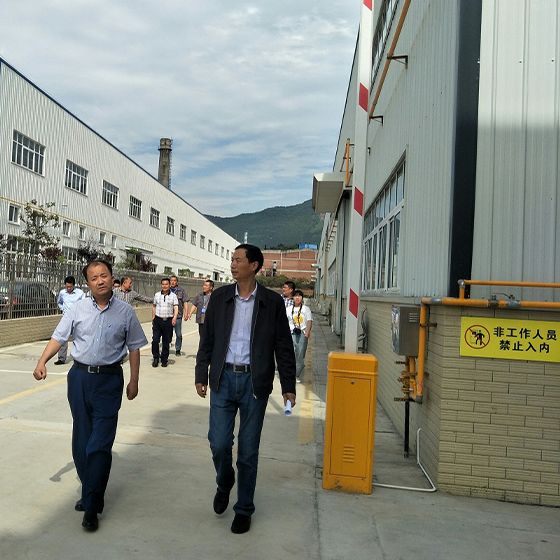 Mayor Xu and a delegation from the municipal government visited our factory for a survey. Mayor Xu and a delegation from the municipal government visited our factory for a survey.